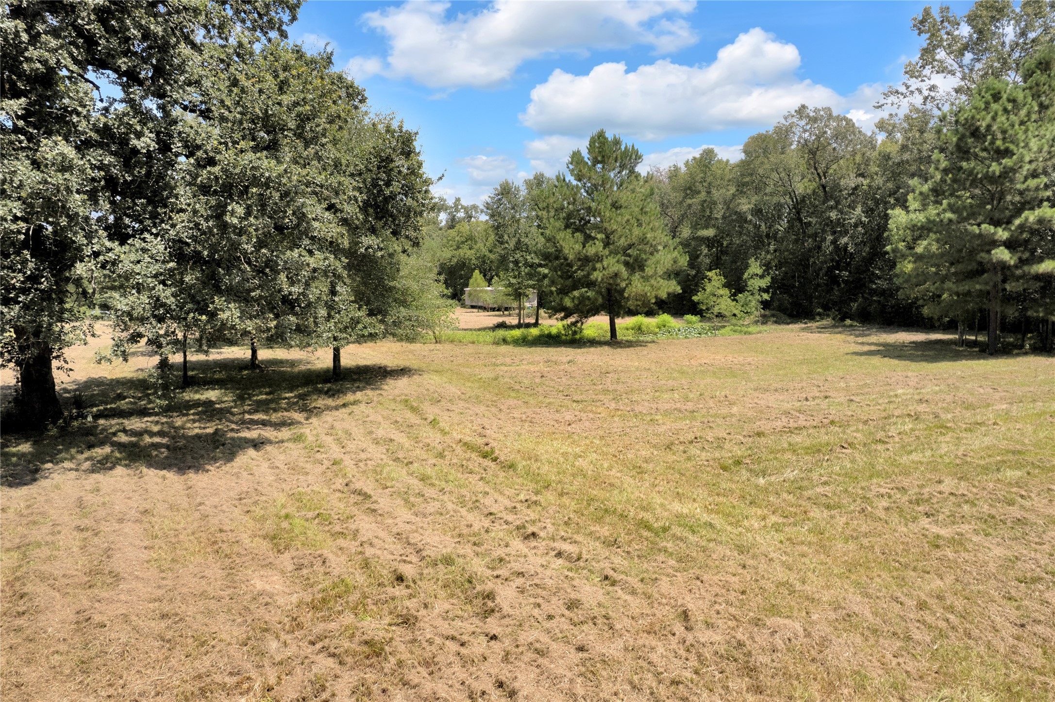 310 County Road 3280 Property Photo 27