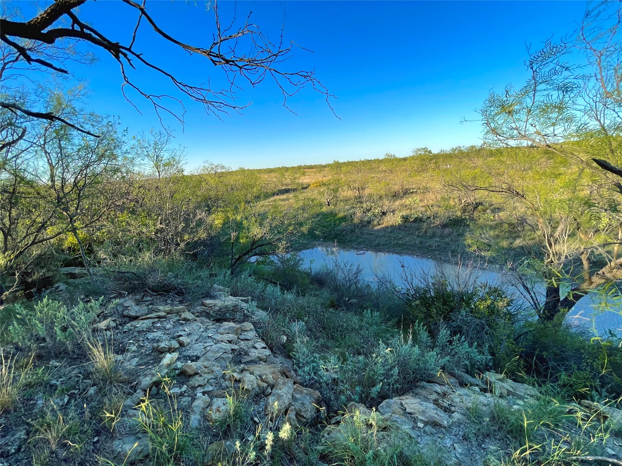 1000 Cr 116 Property Photo 7