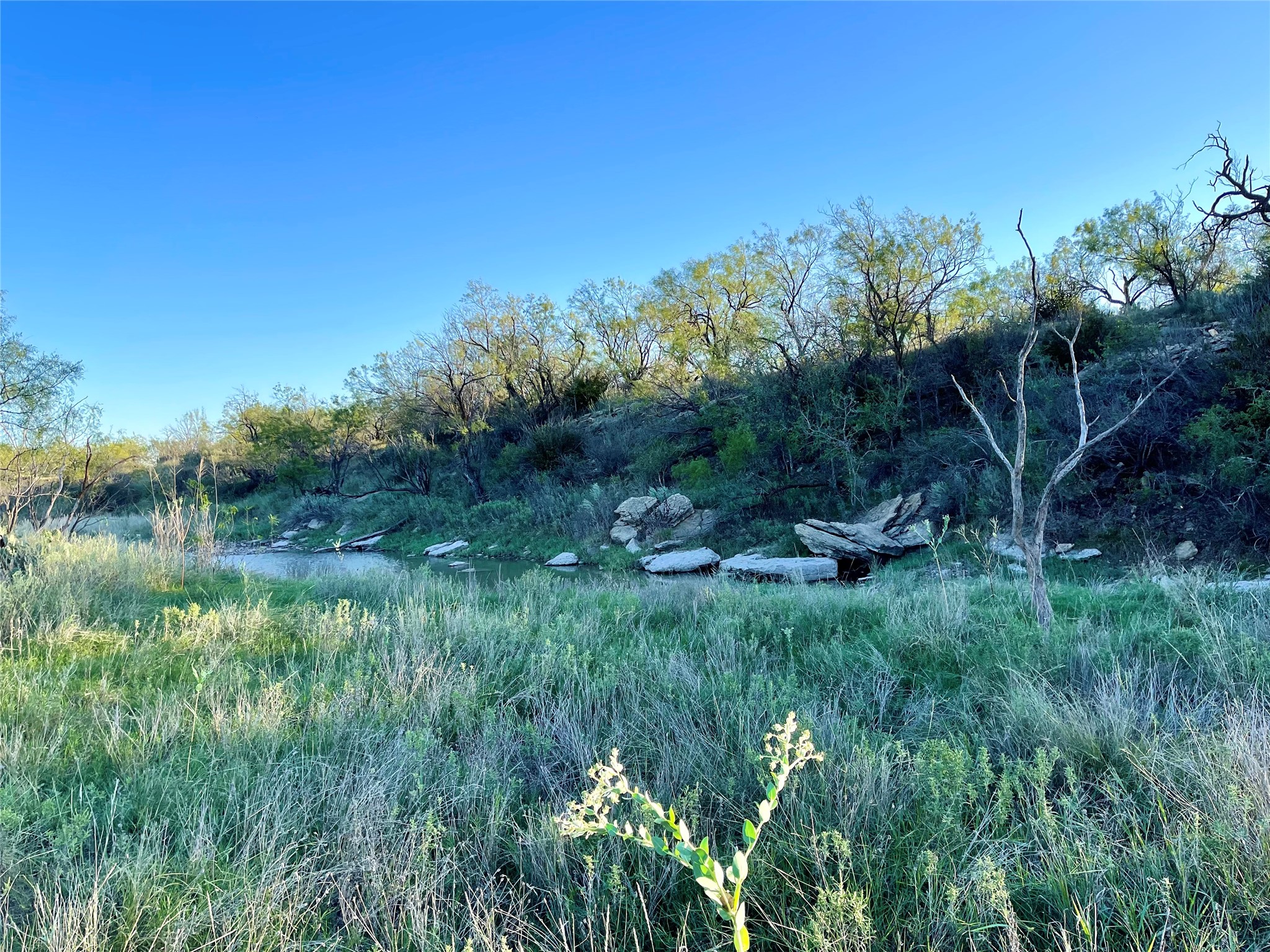 1000 Cr 116 Property Photo 8