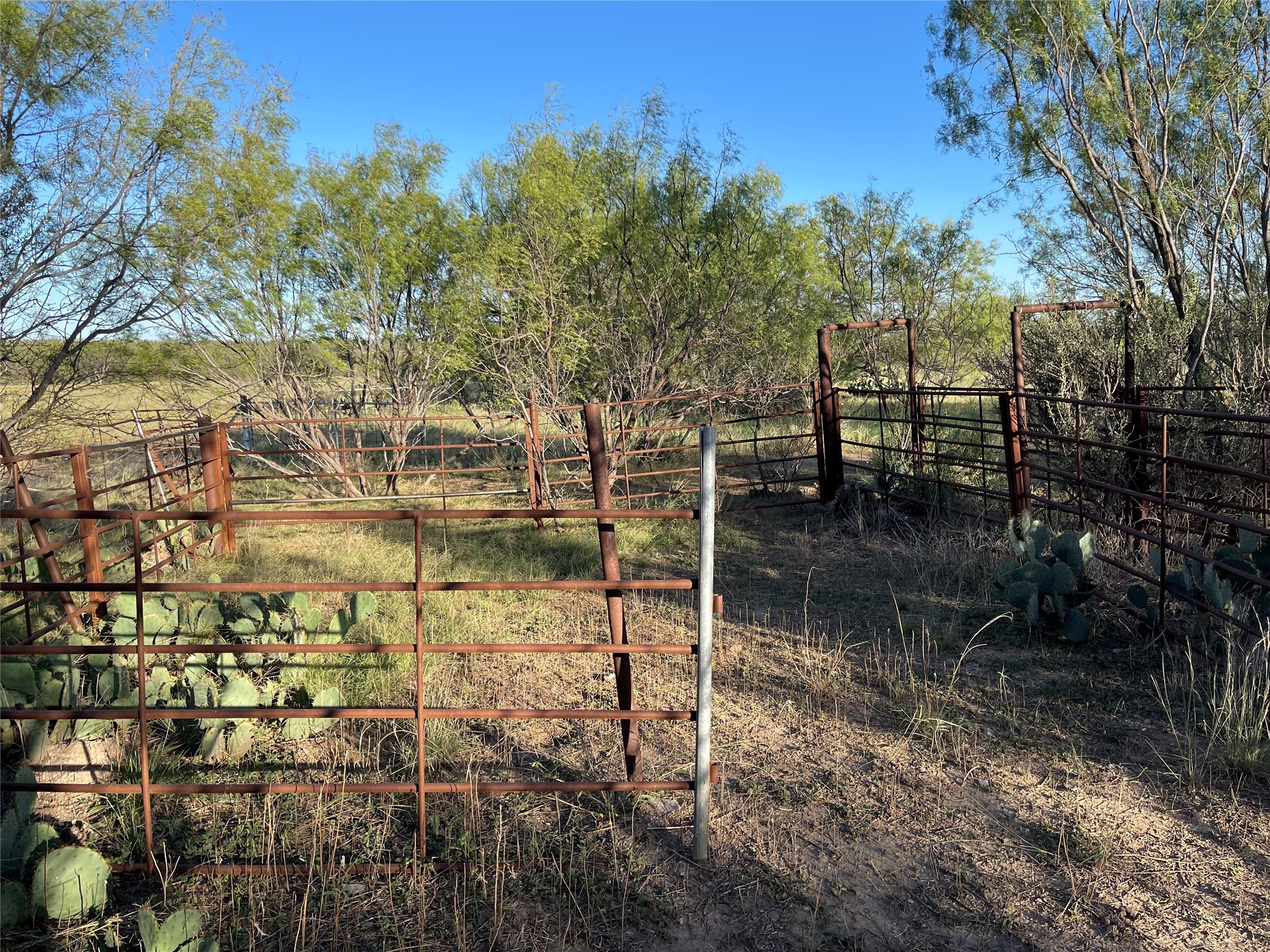 1000 Cr 116 Property Photo 15