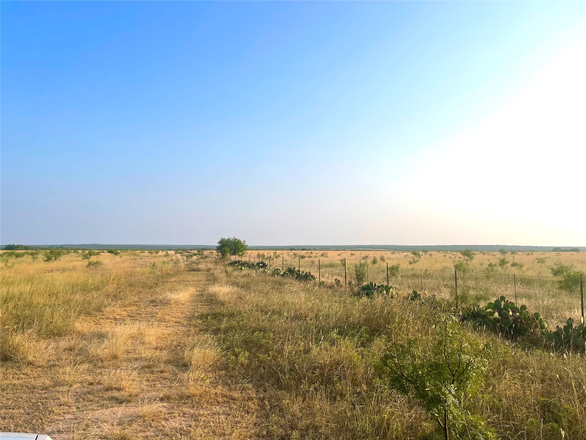 1000 Cr 116 Property Photo 21