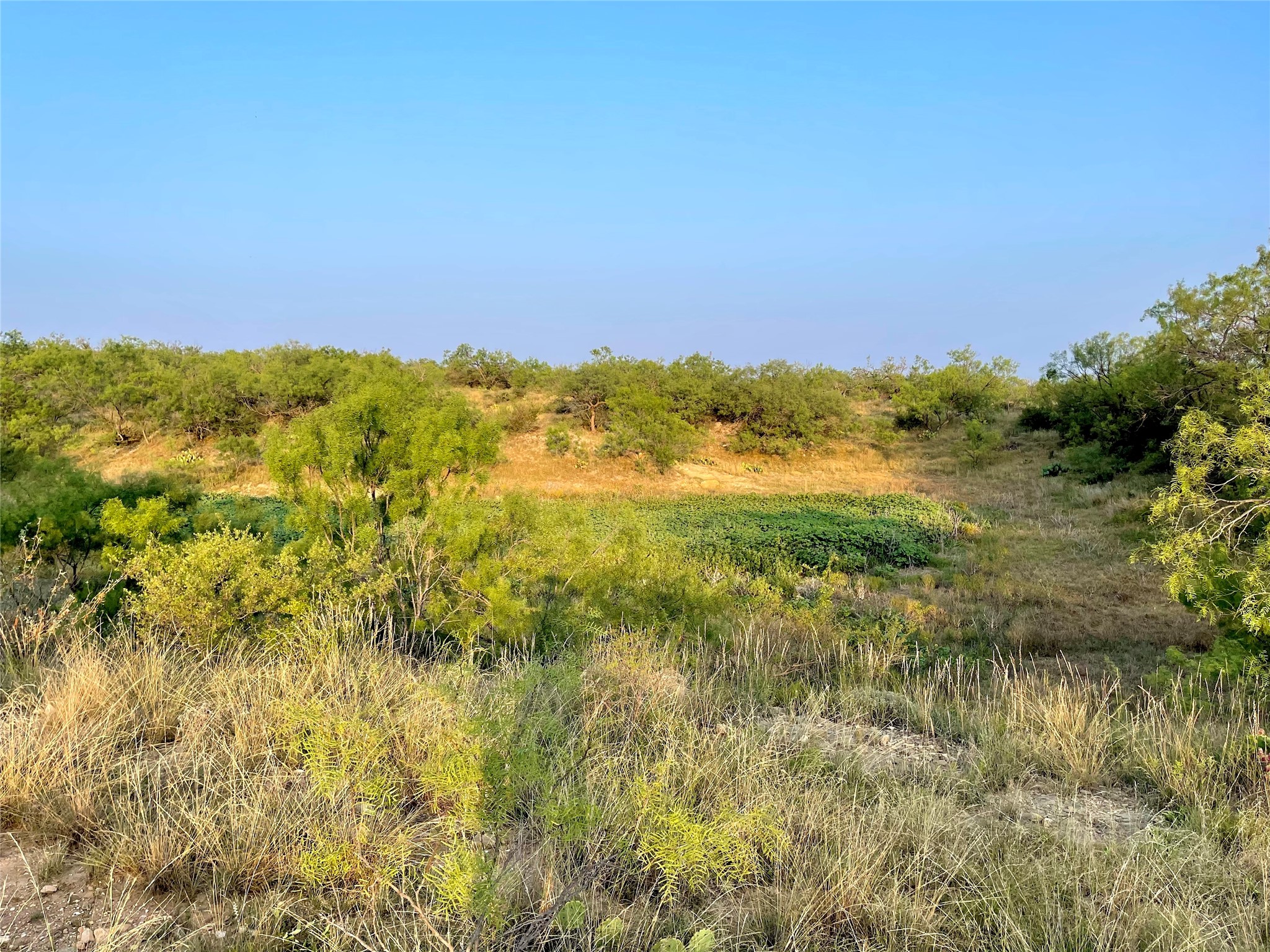 1000 Cr 116 Property Photo 24