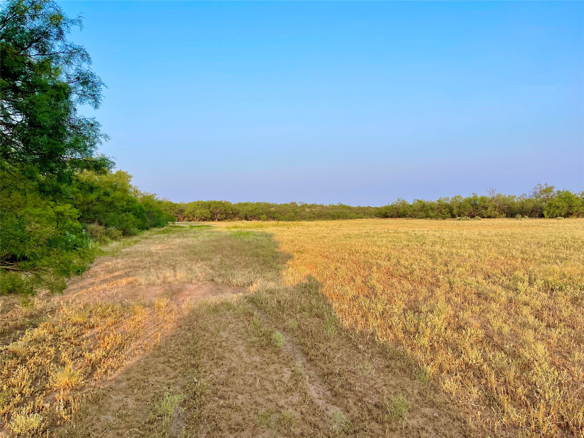 1000 Cr 116 Property Photo 25