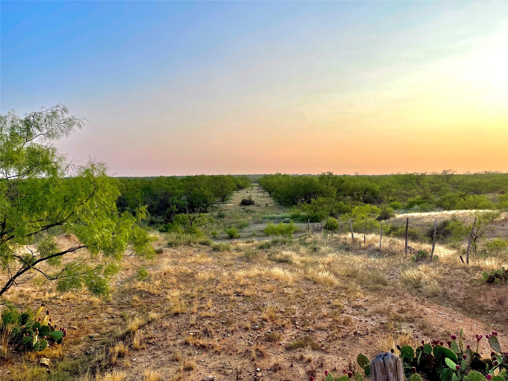 1000 Cr 116 Property Photo 28