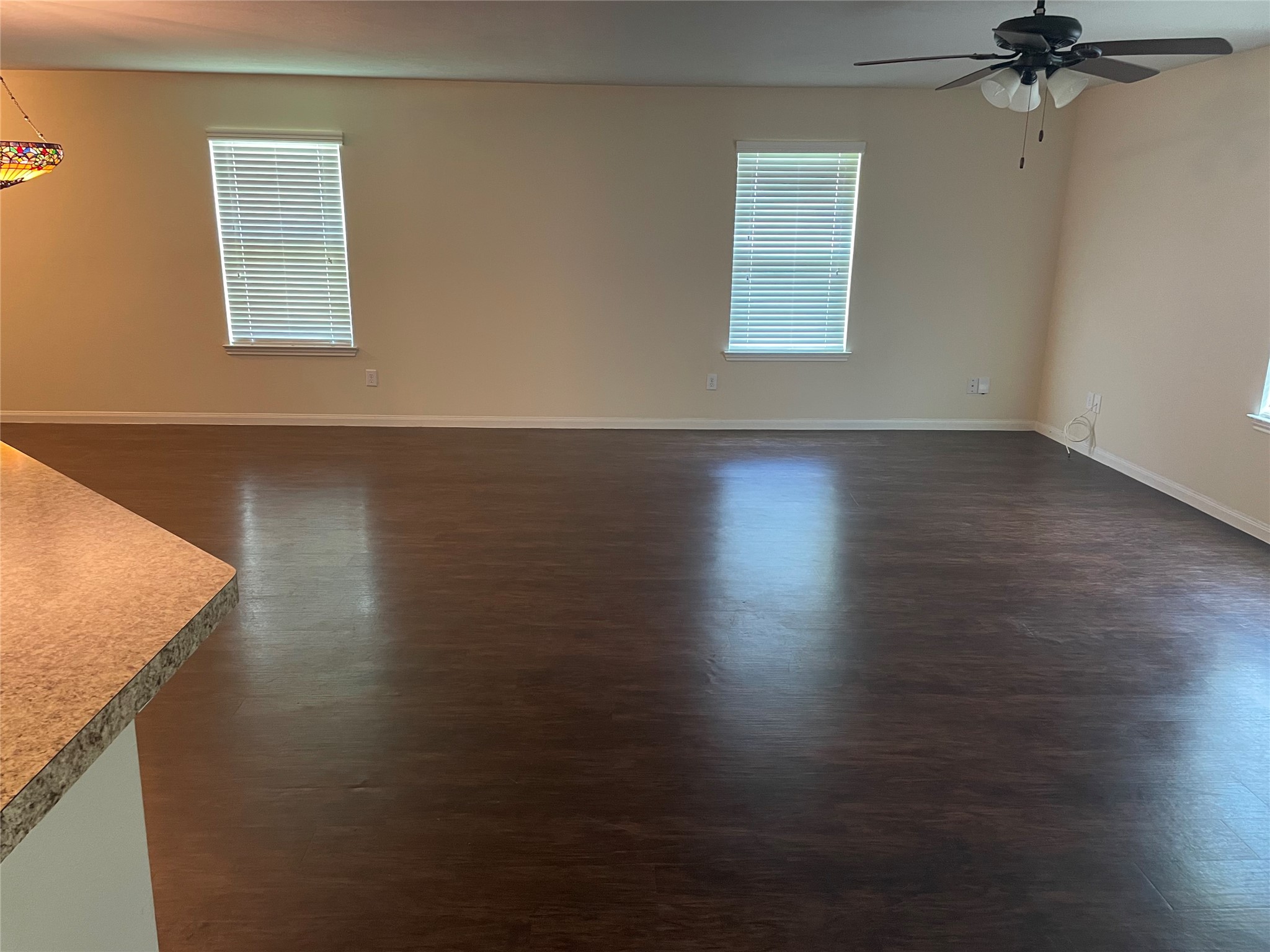11418 El Diamante Drive Property Photo 10