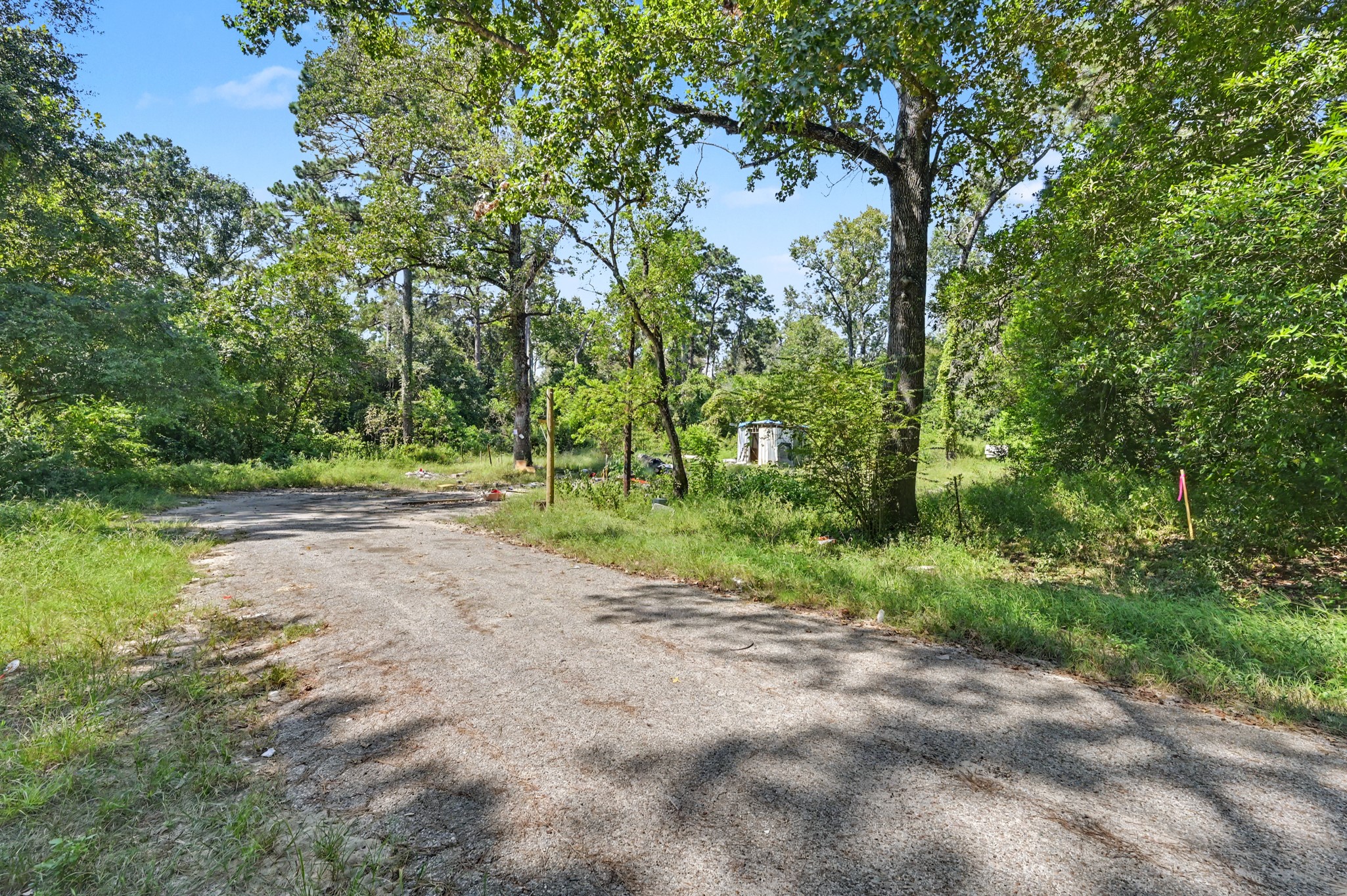 25589 Peach Creek Drive Property Photo 3