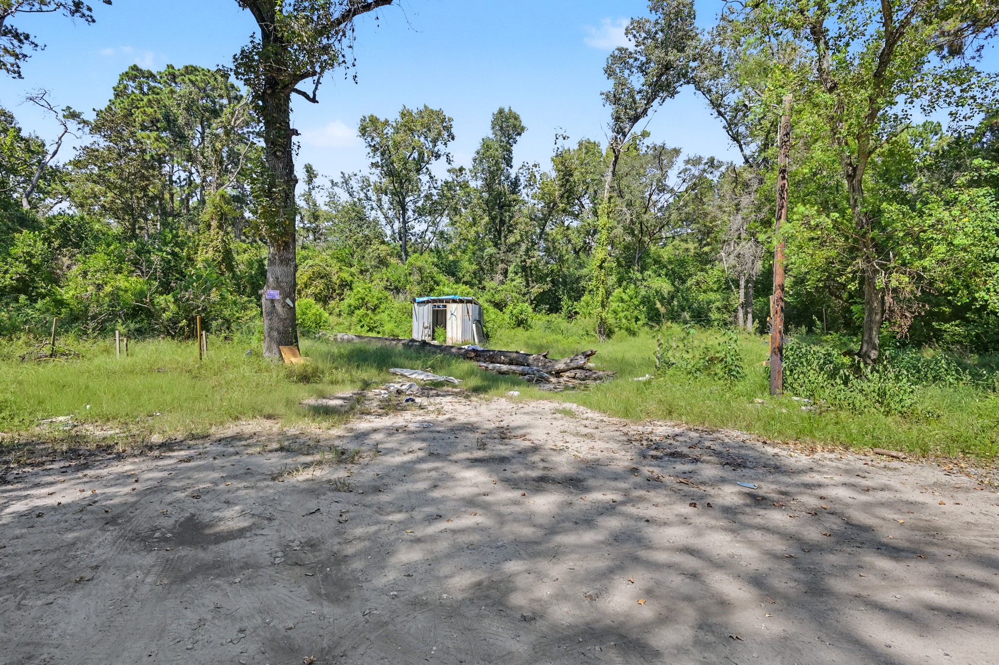 25589 Peach Creek Drive Property Photo 4