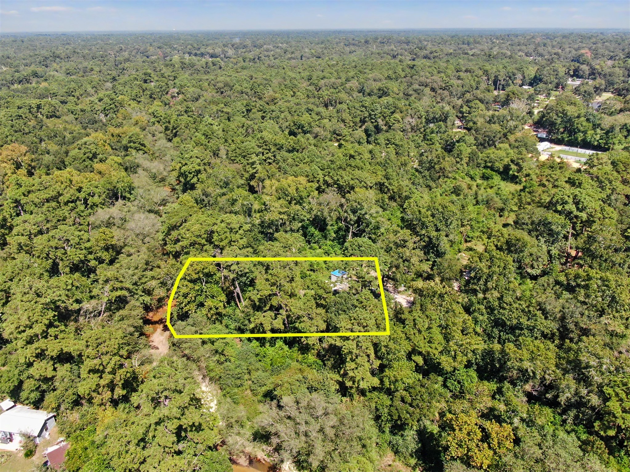 25589 Peach Creek Drive Property Photo 5