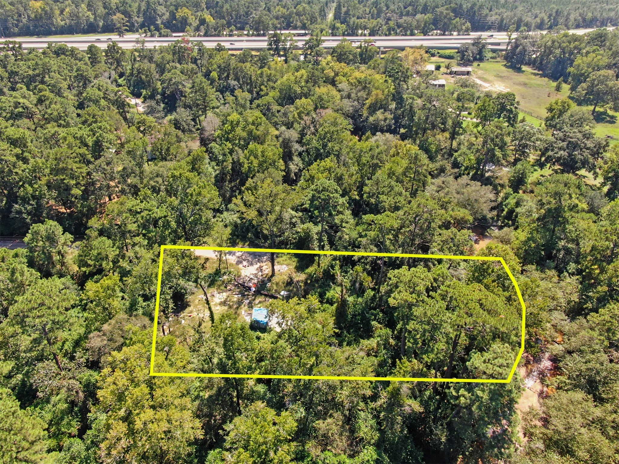 25589 Peach Creek Drive Property Photo 9