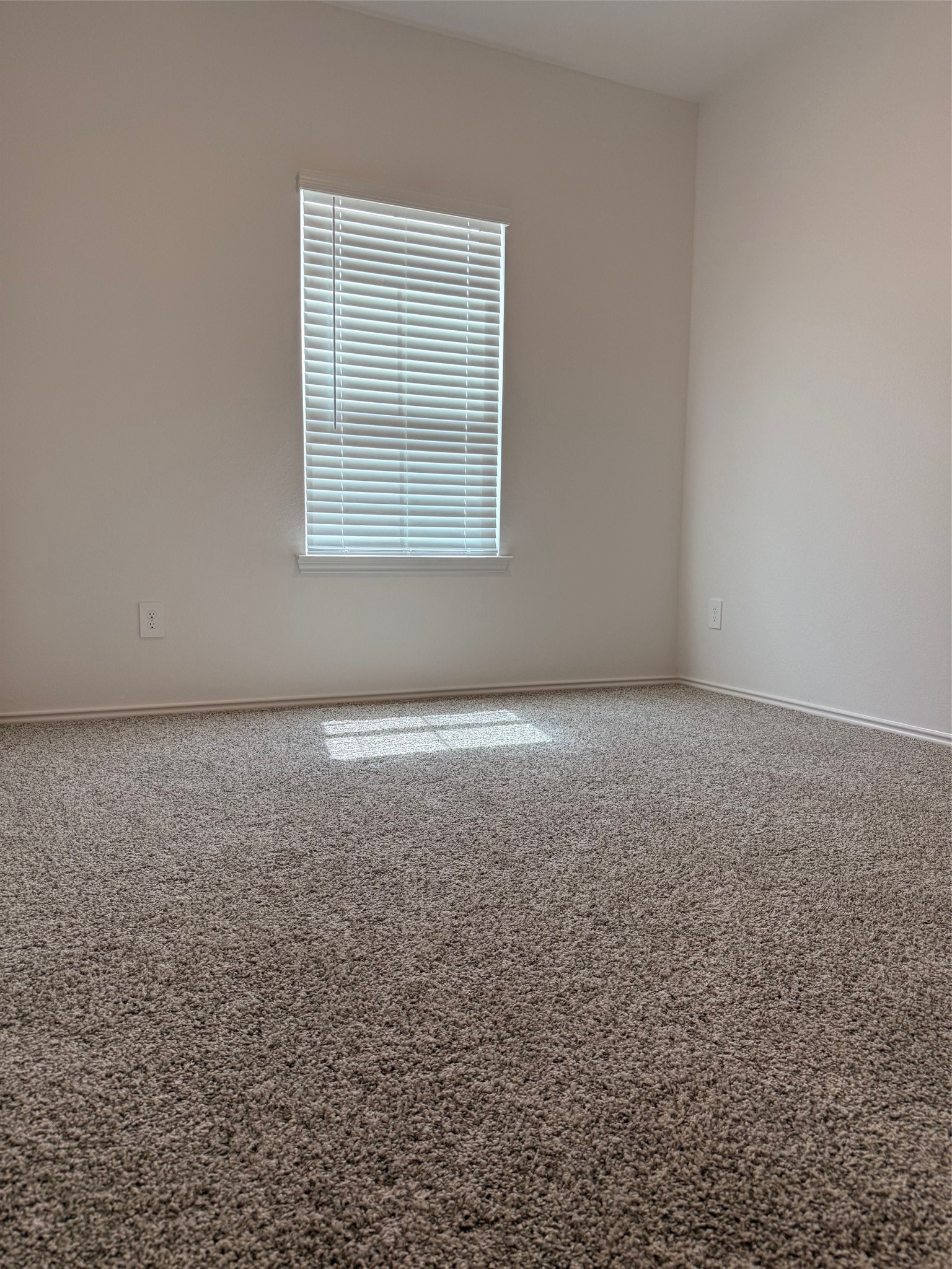 31310 Derbyhaven Drive Property Photo 12