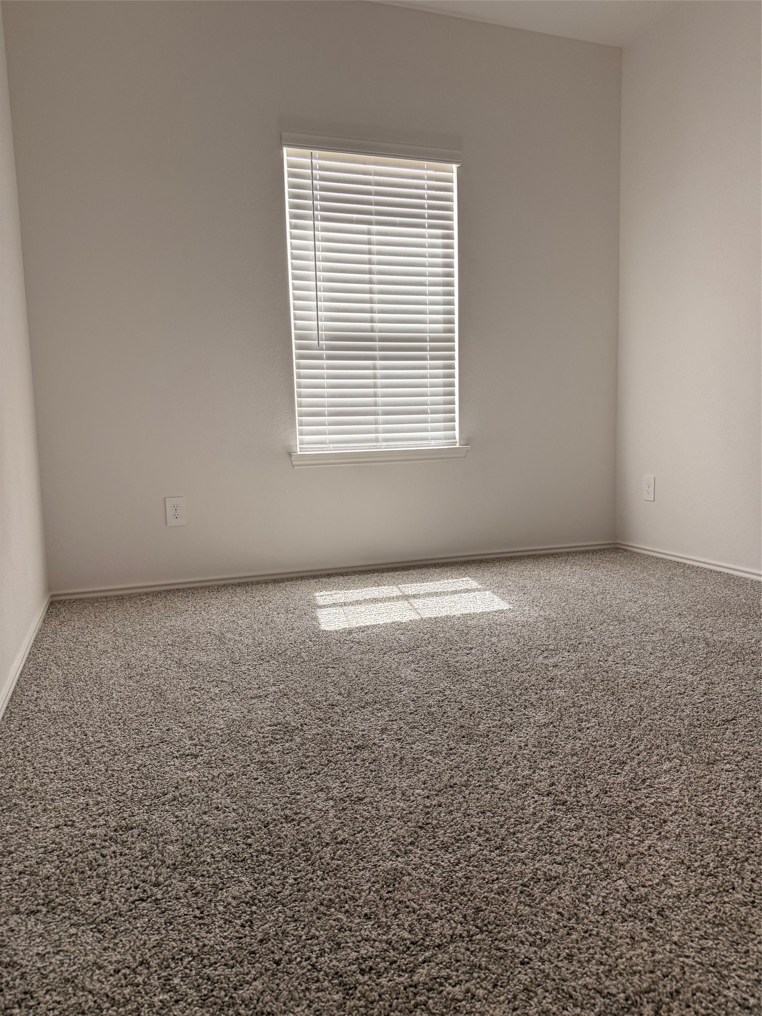 31310 Derbyhaven Drive Property Photo 14
