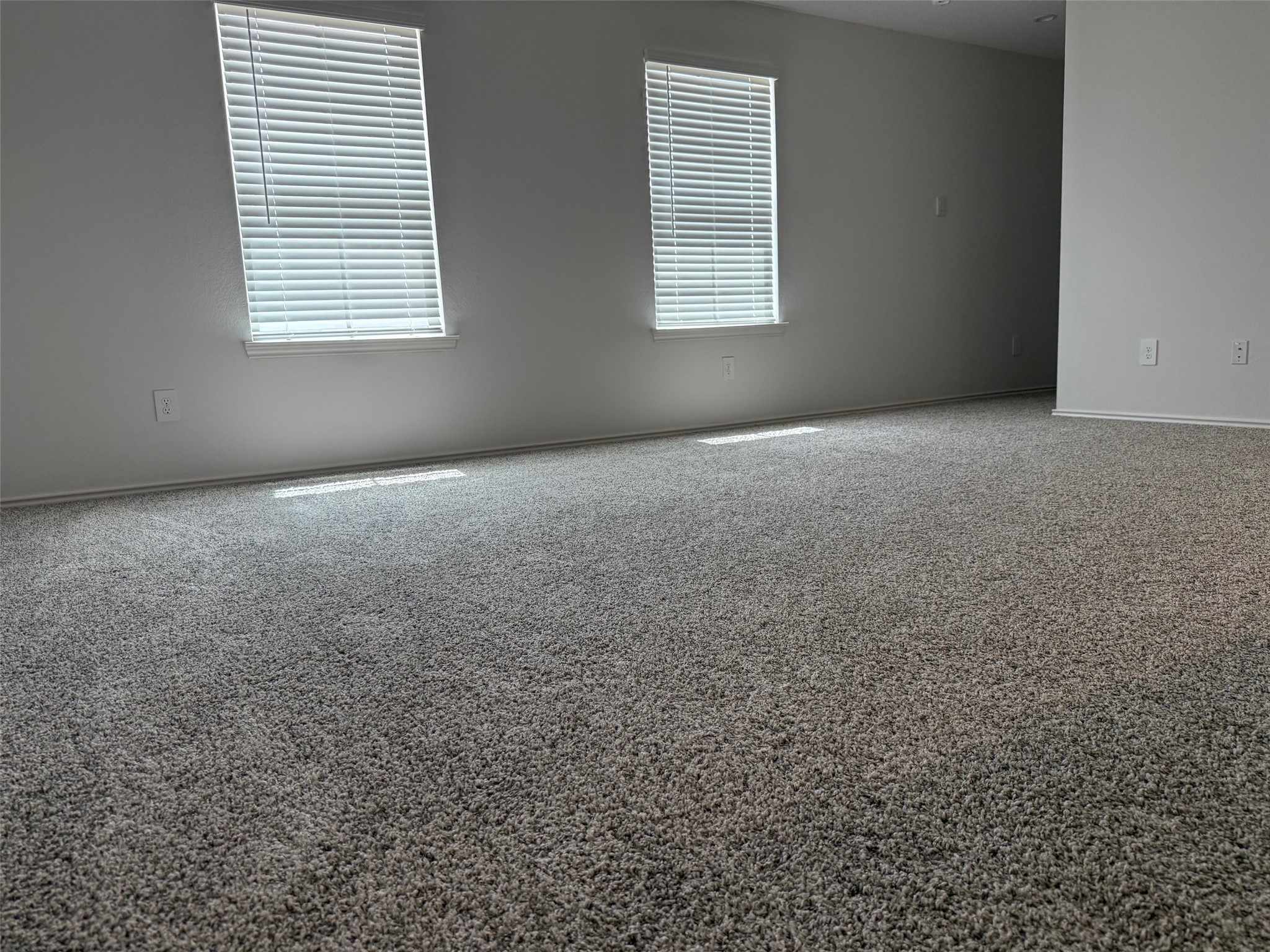 31310 Derbyhaven Drive Property Photo 16