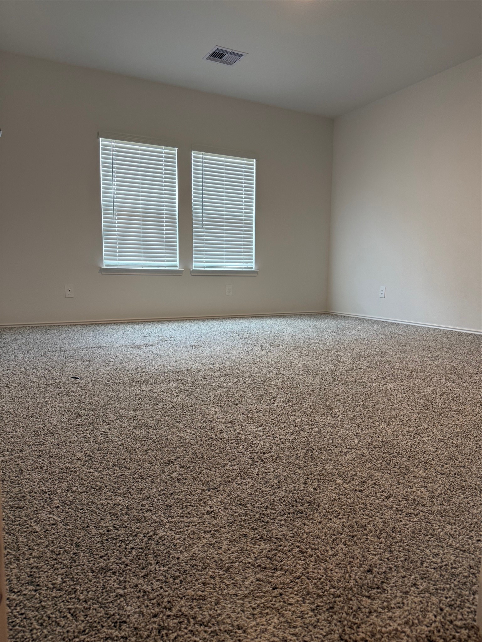 31310 Derbyhaven Drive Property Photo 21