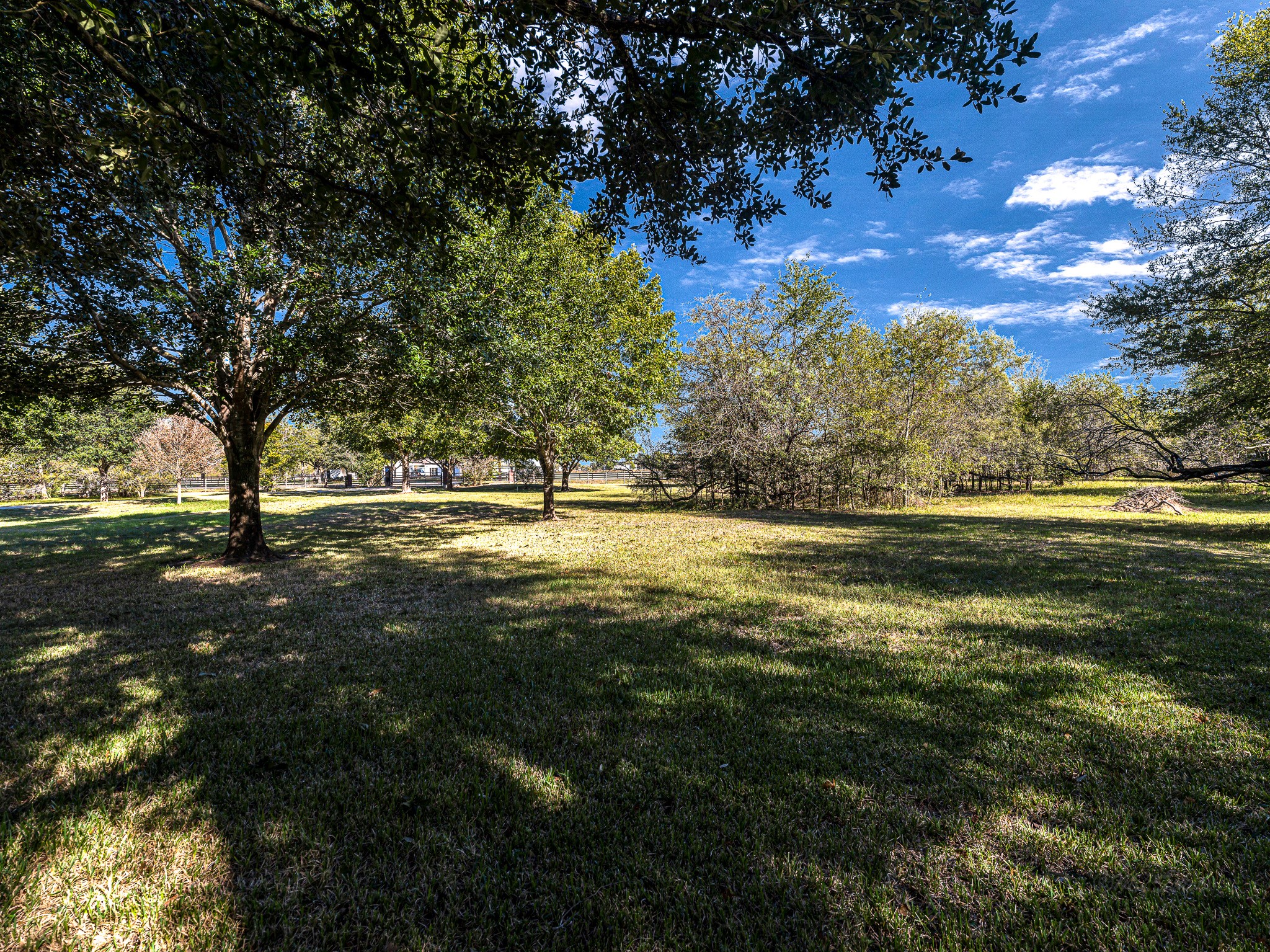 32601 Rogers Road Property Photo 7