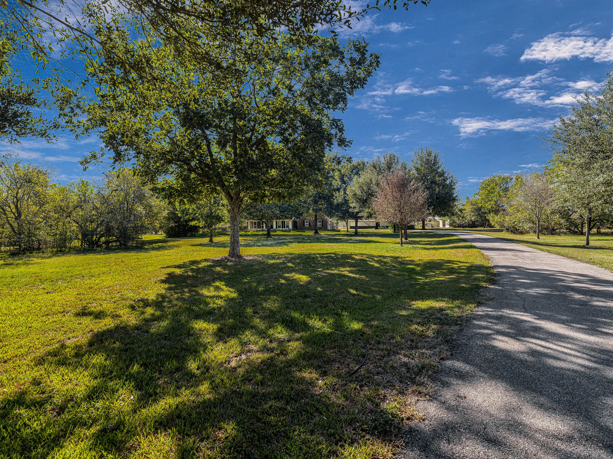32601 Rogers Road Property Photo 8
