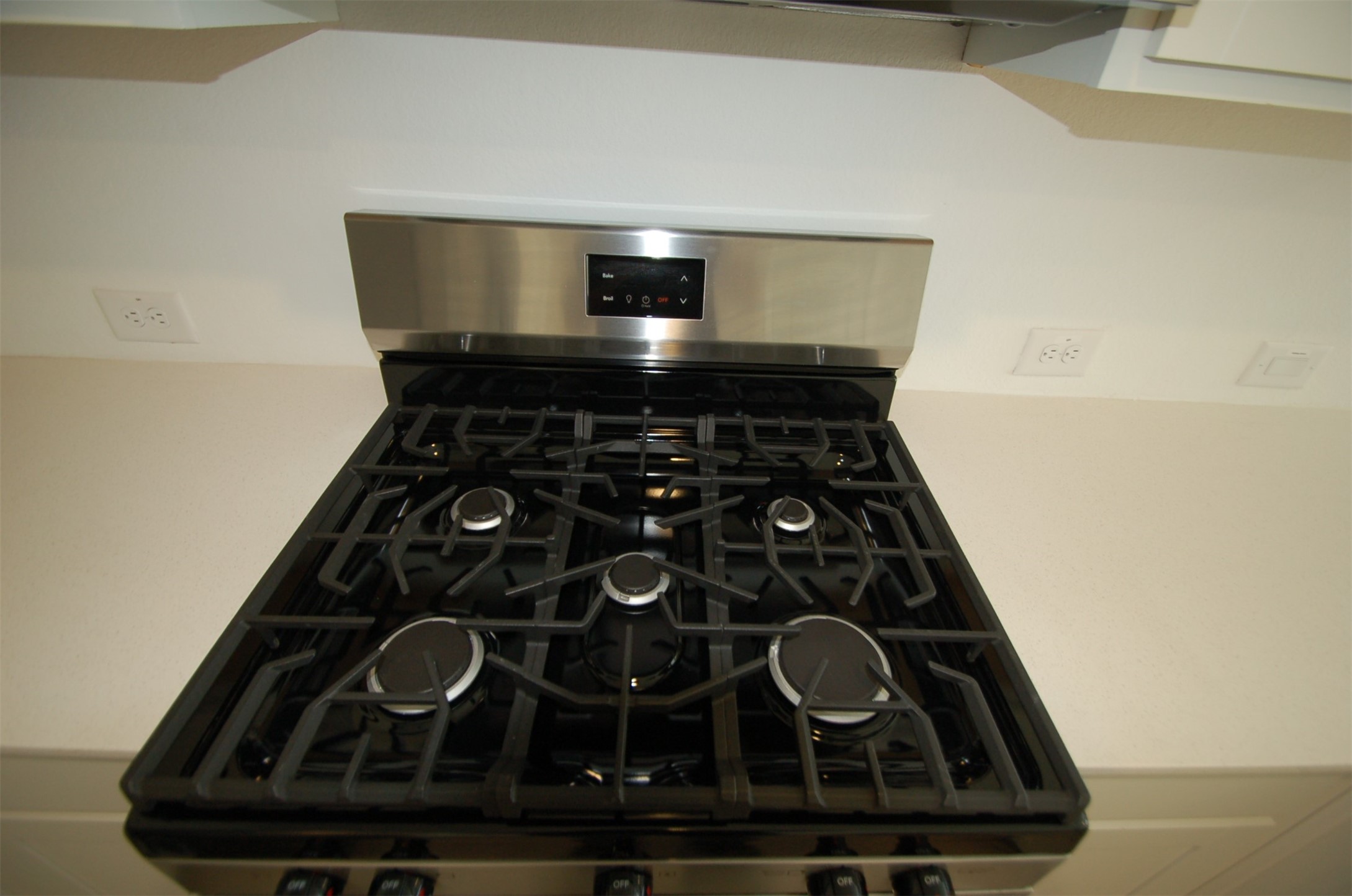 16219 Domestic Dove Way Property Photo 4