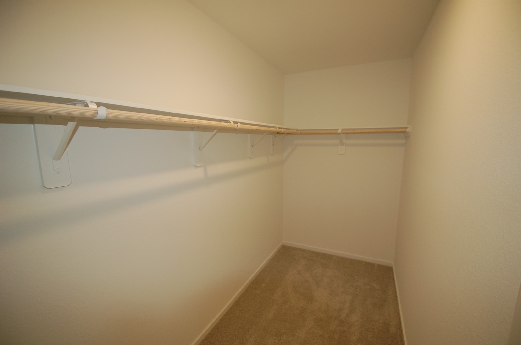 16219 Domestic Dove Way Property Photo 9
