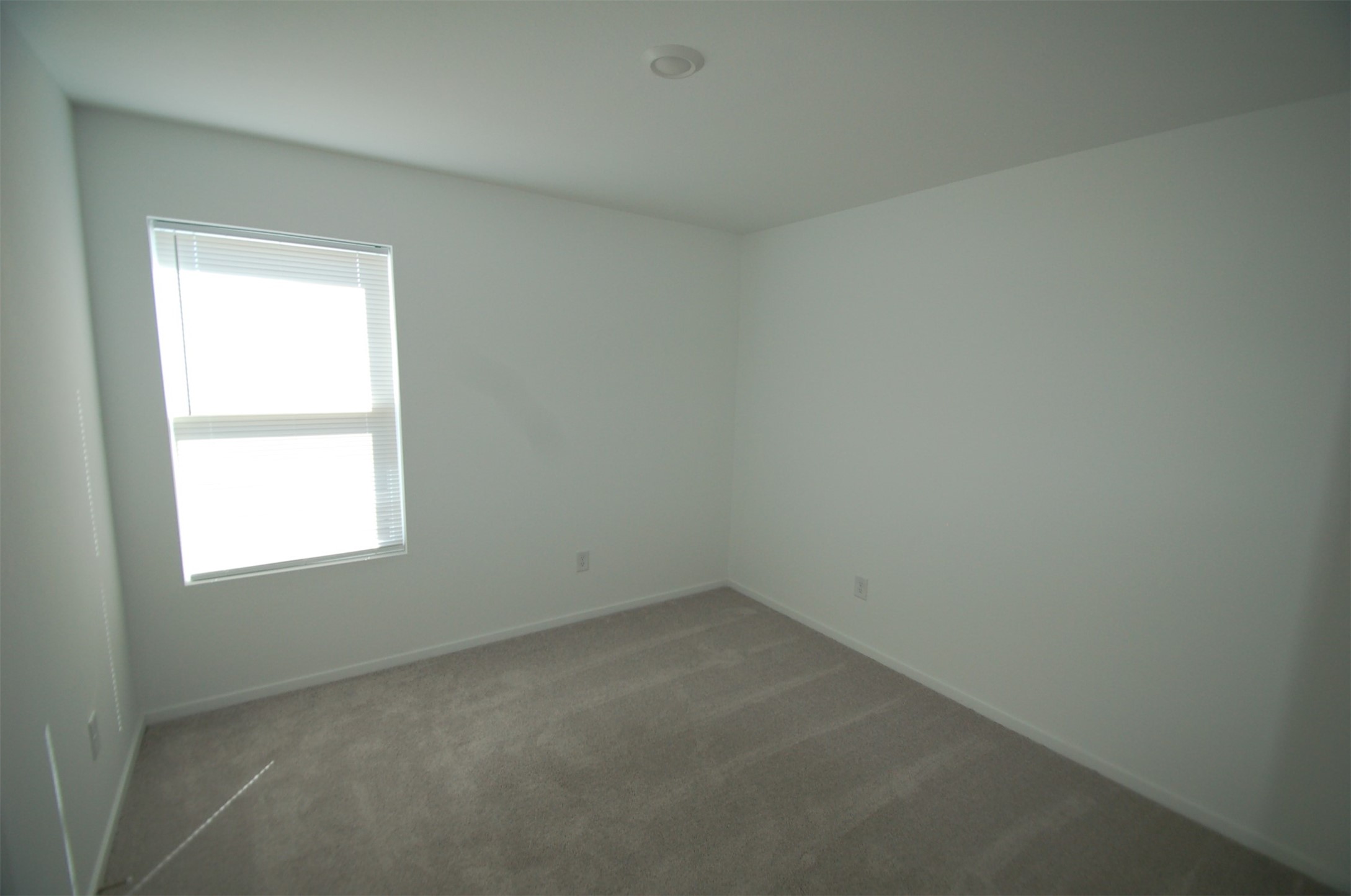 16219 Domestic Dove Way Property Photo 15