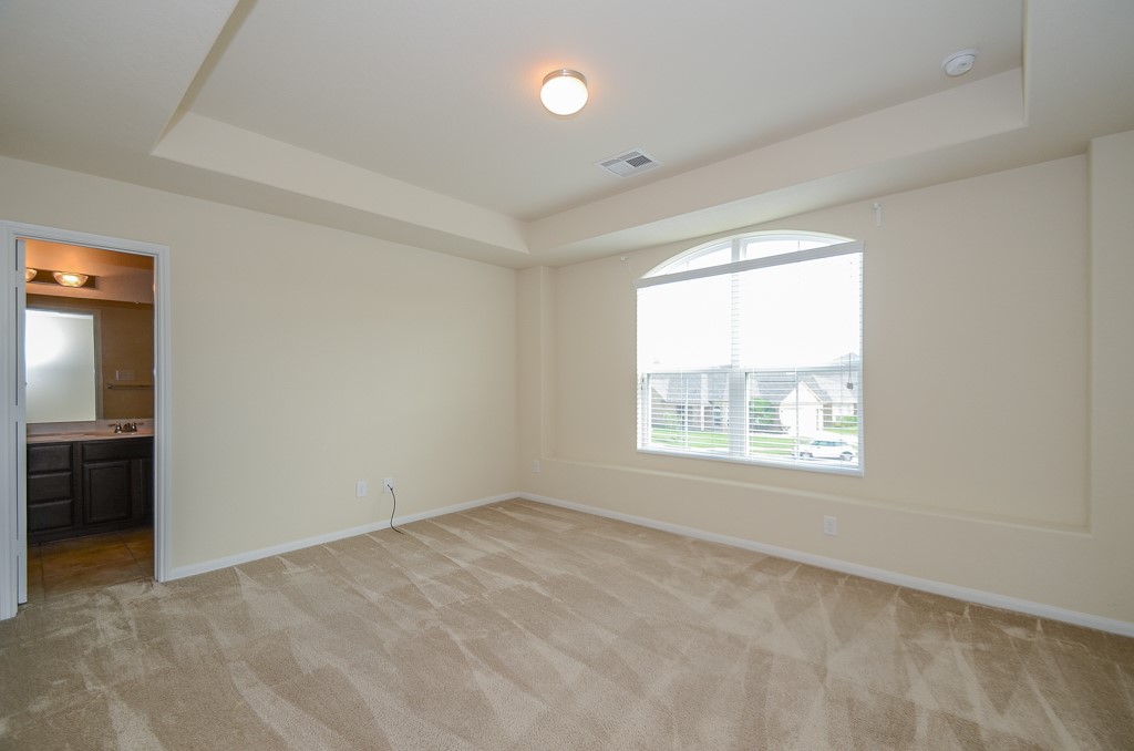 14935 Vinegrove Falls Court Property Photo 18