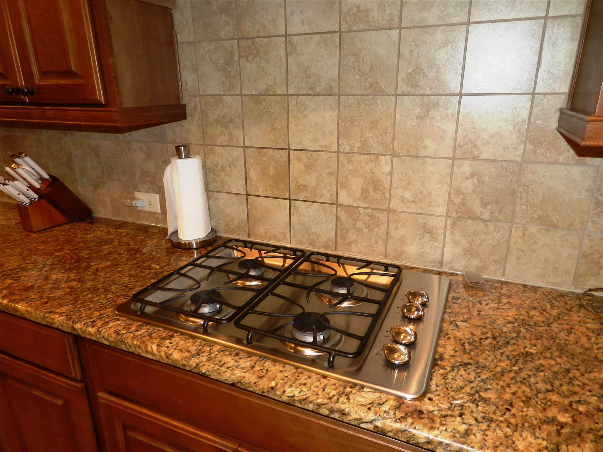 4419 Montcliff Bend Court Property Photo 16