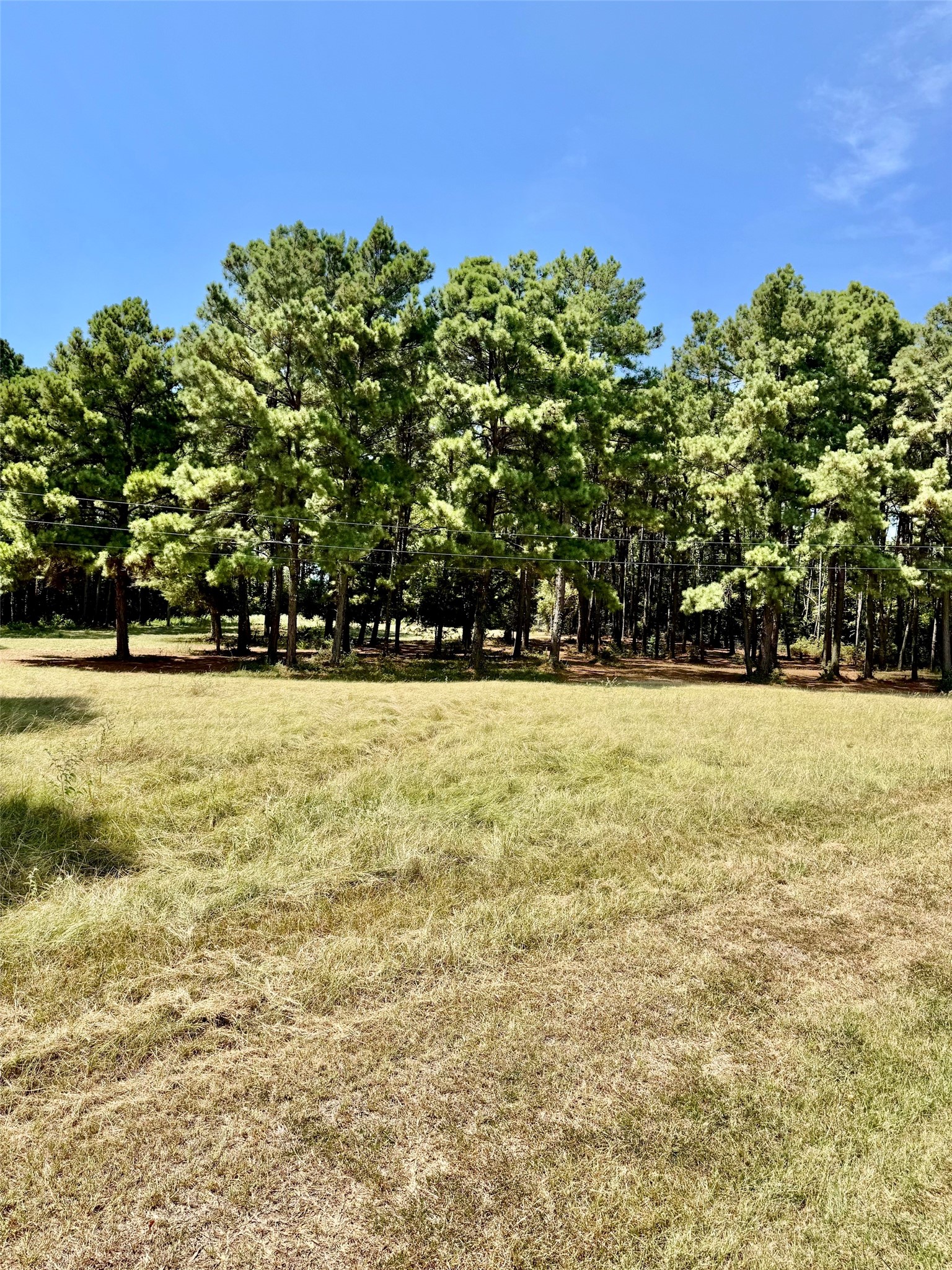 1789 Fm 2076 Property Photo 37