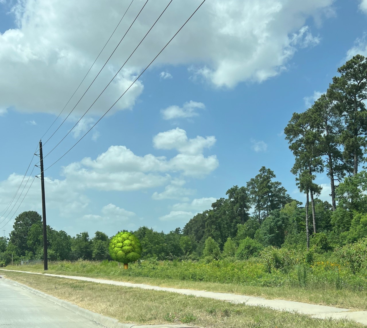 0 State Highway 249 Property Photo