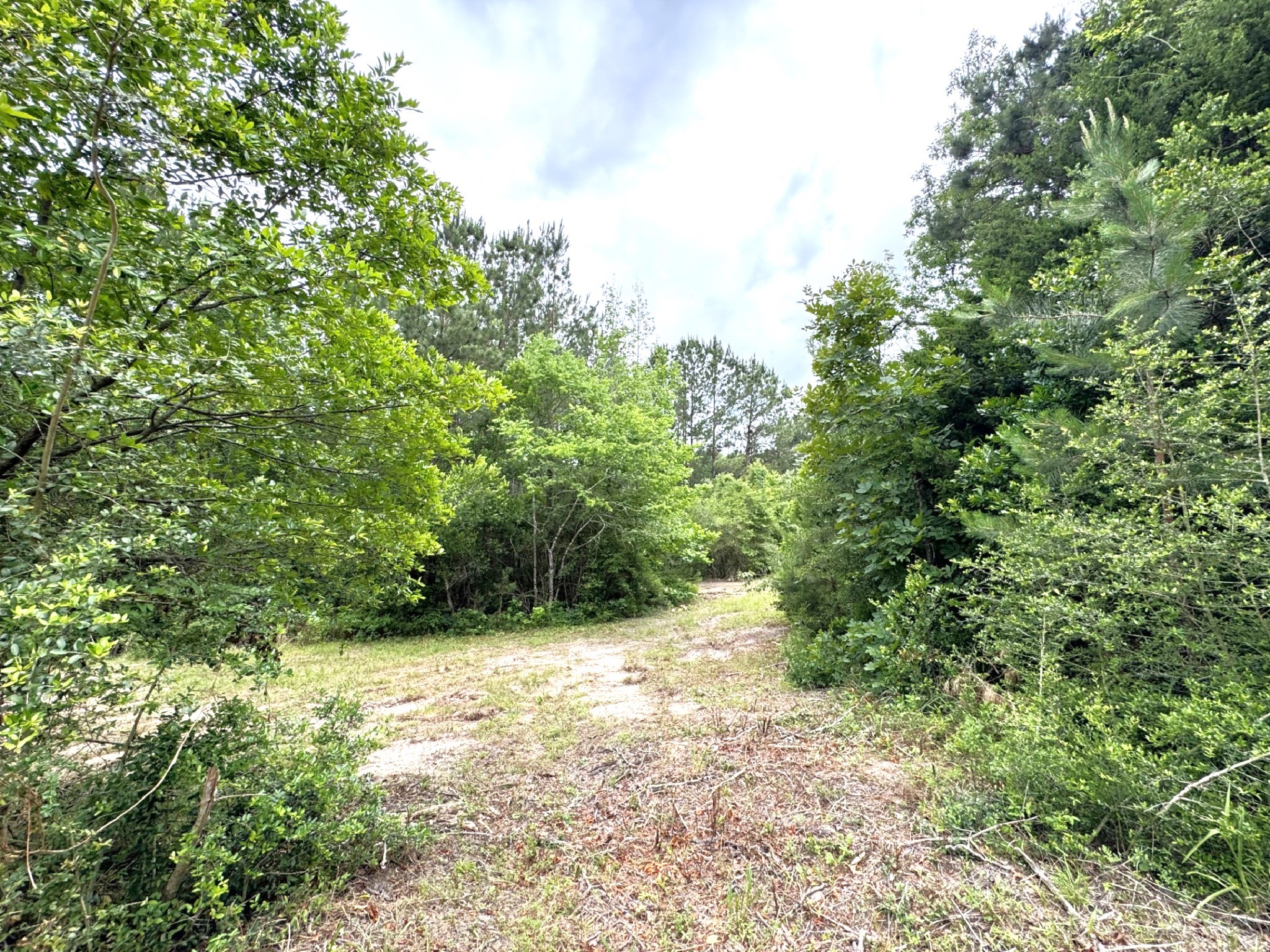 704 E Elder Street Property Photo 11