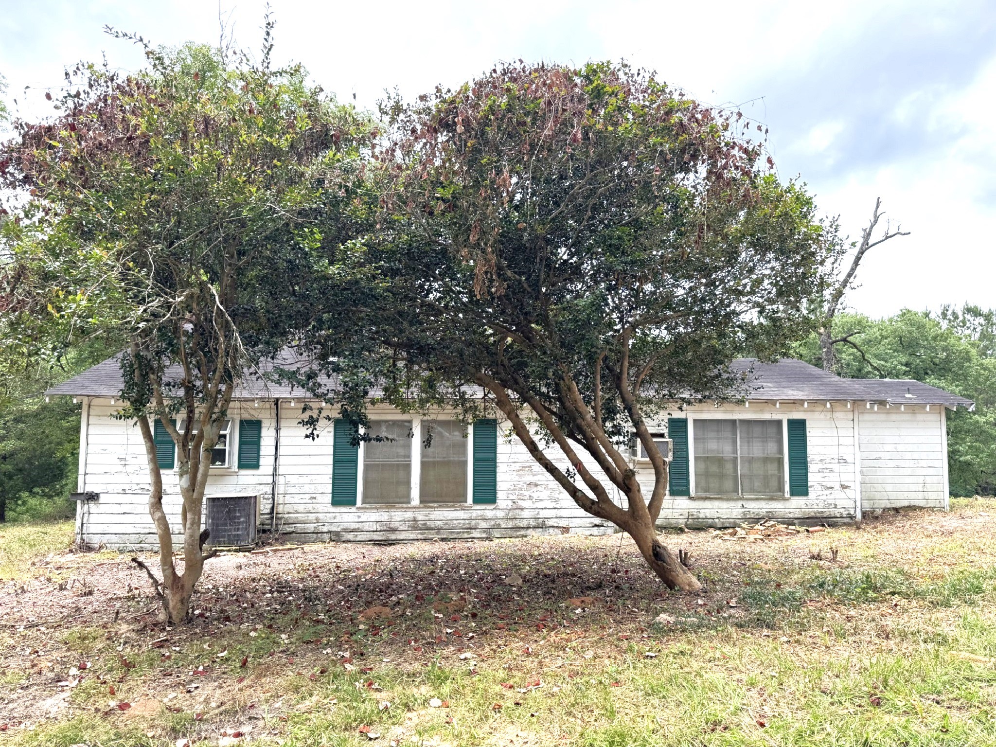 704 E Elder Street Property Photo 26