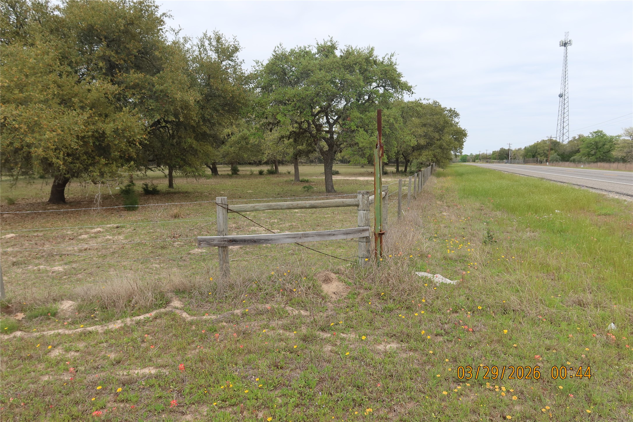1028 Gun Rose Lane Property Photo 2