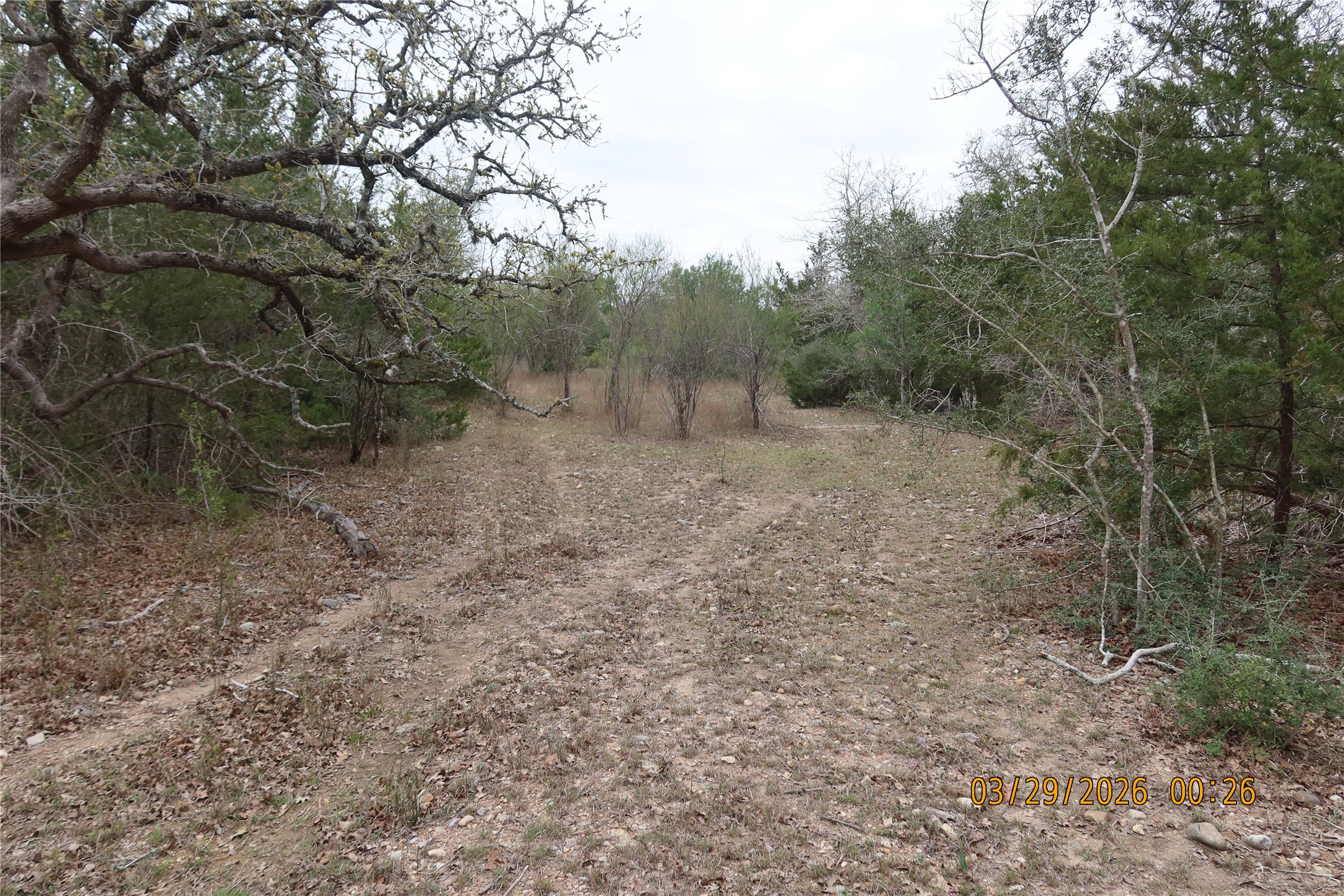 1028 Gun Rose Lane Property Photo 5
