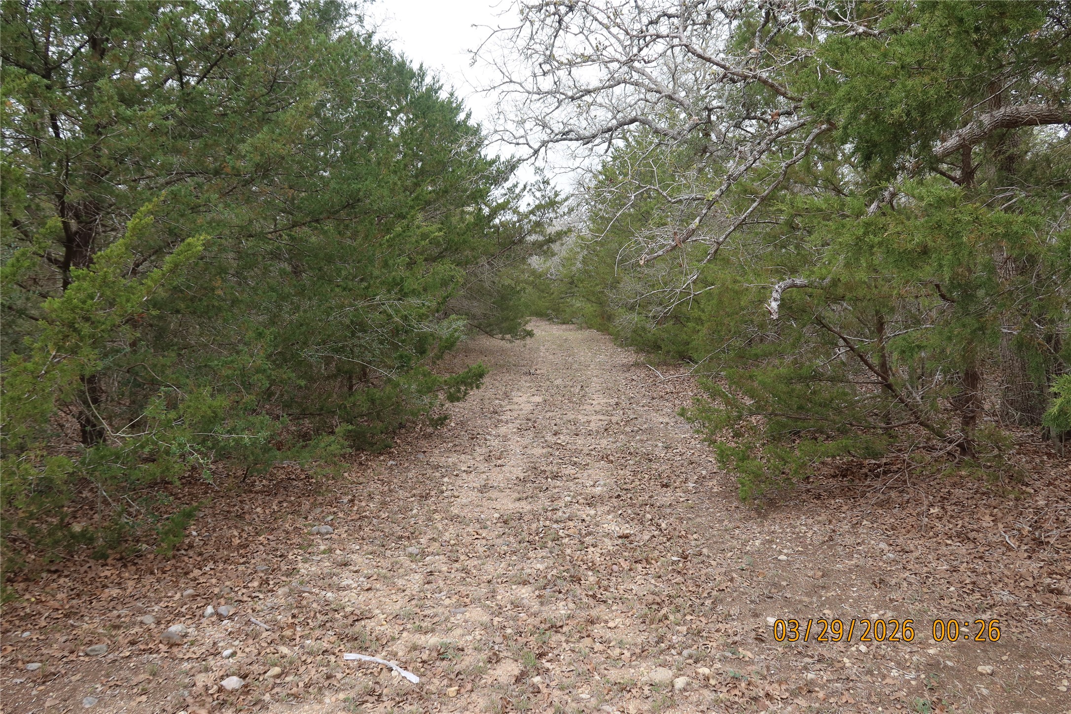 1028 Gun Rose Lane Property Photo 6