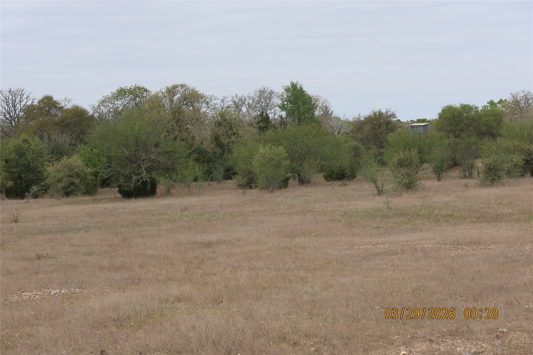 1028 Gun Rose Lane Property Photo 7