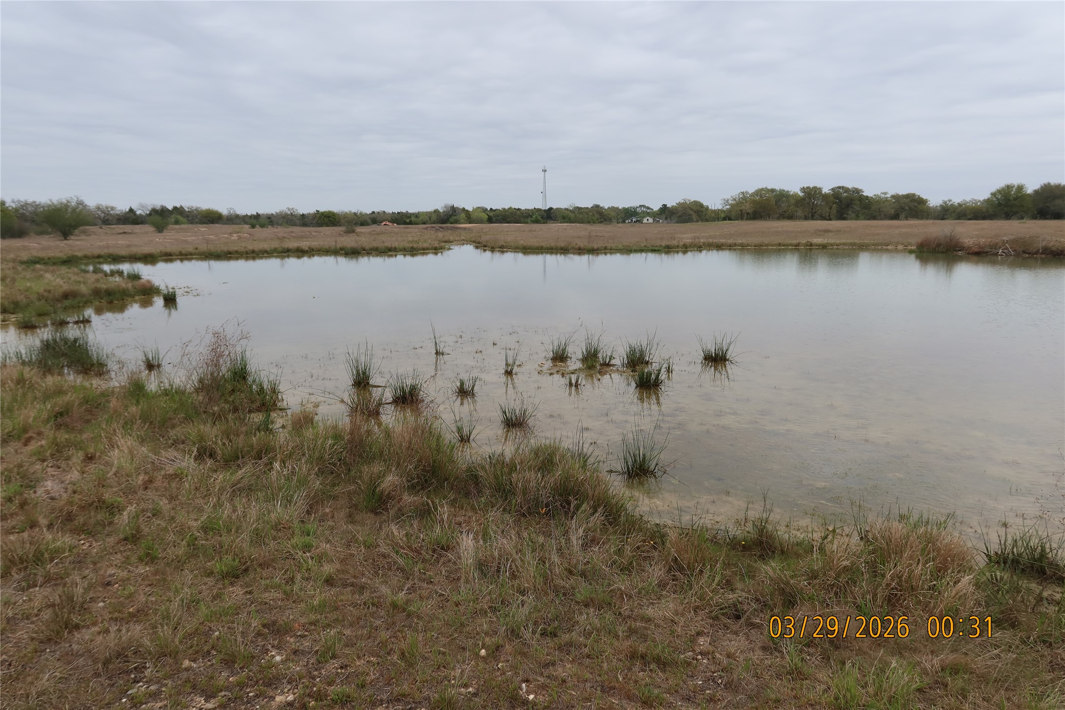 1028 Gun Rose Lane Property Photo 8