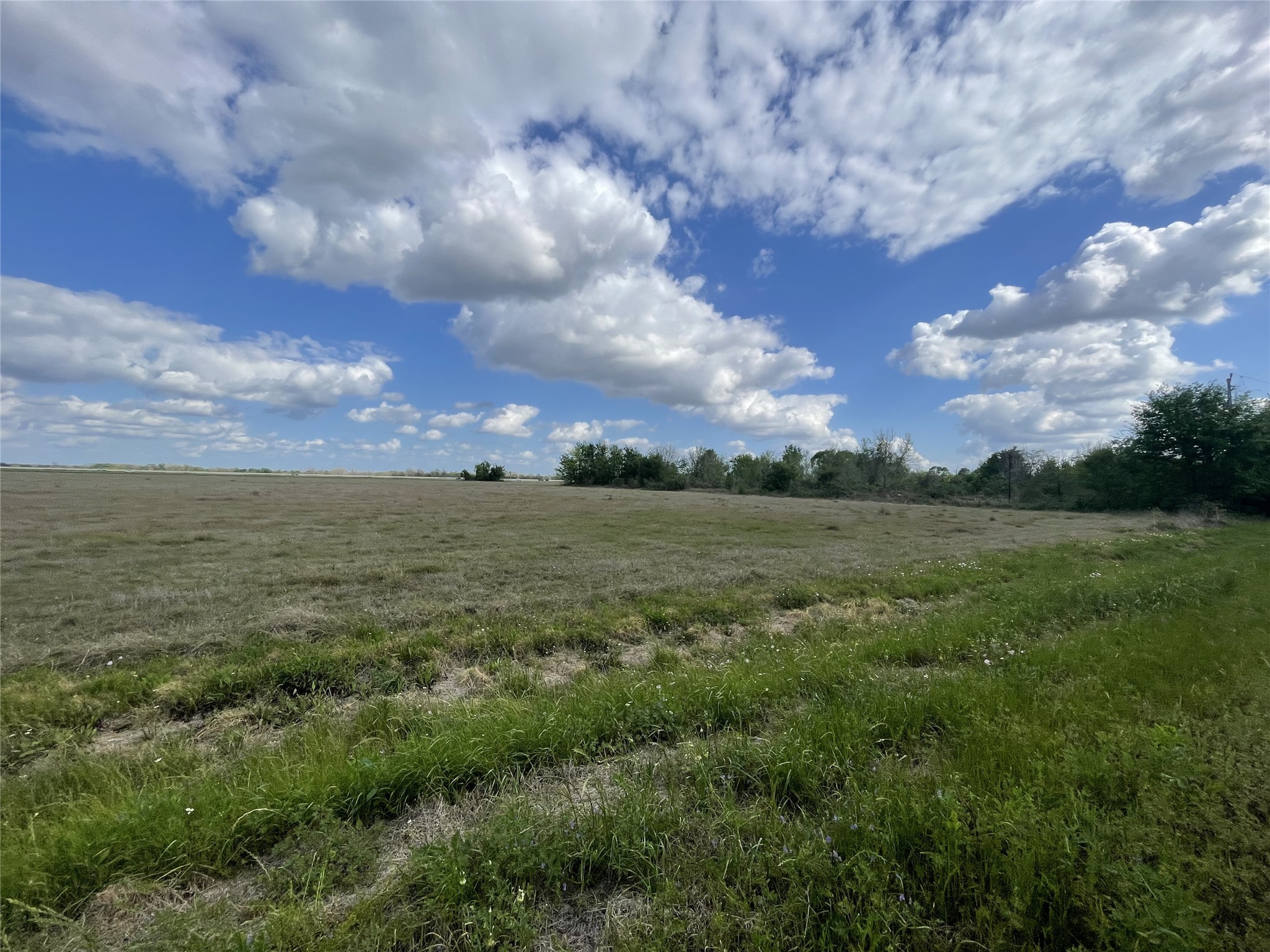 7012 E Bu 59 R Highway Property Photo 8