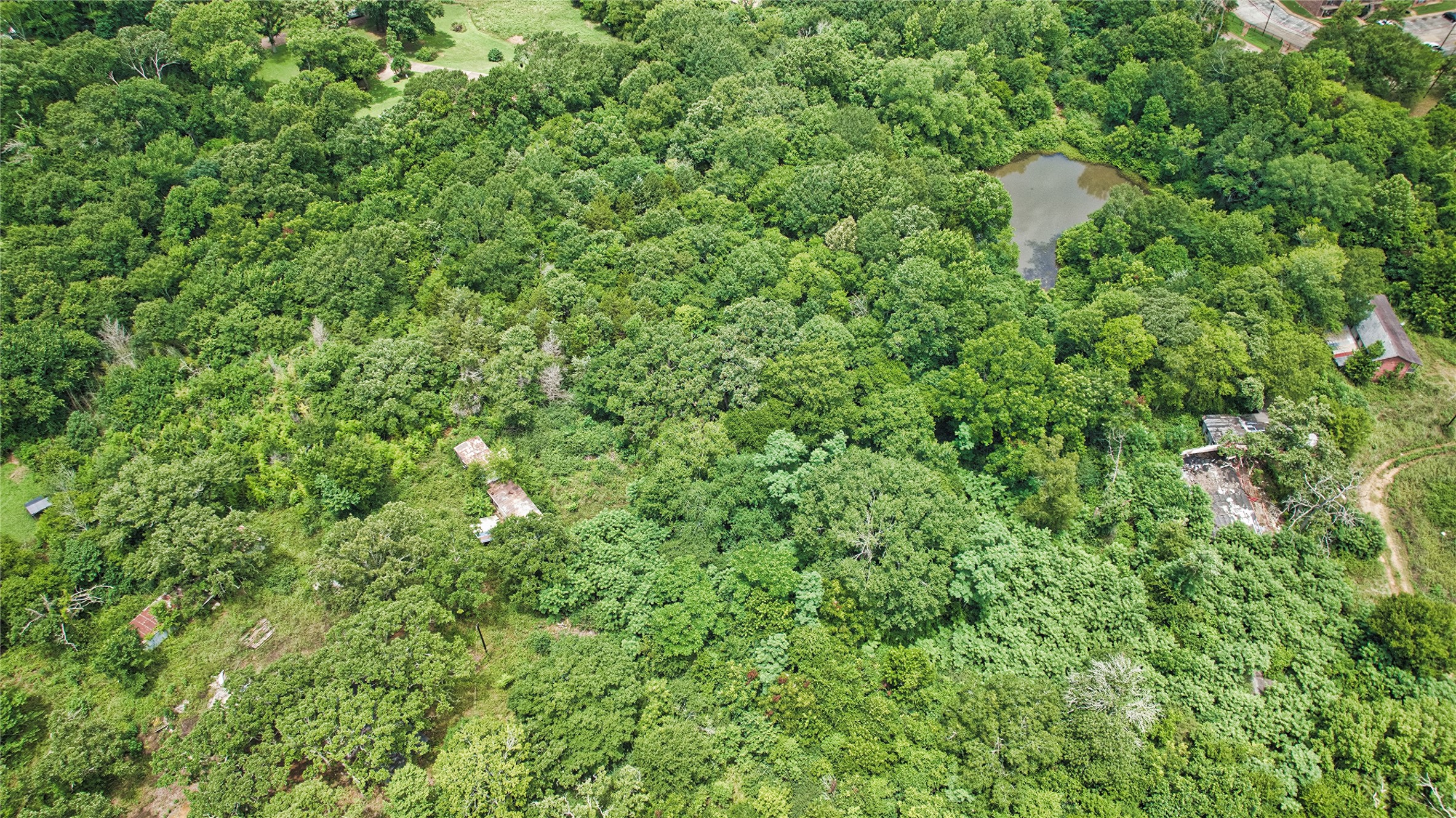 0 Daisy Lane Property Photo 13