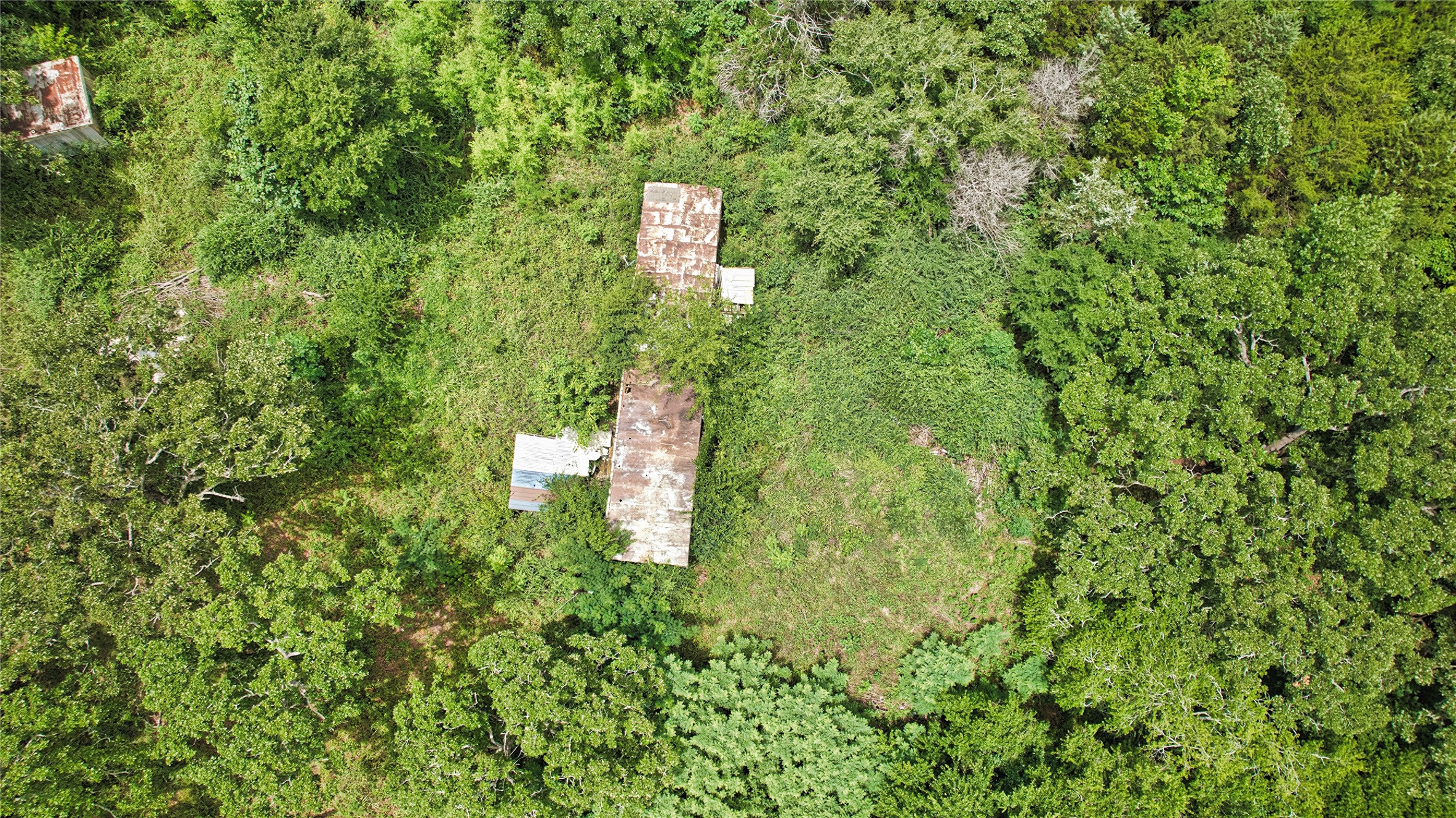 0 Daisy Lane Property Photo 15