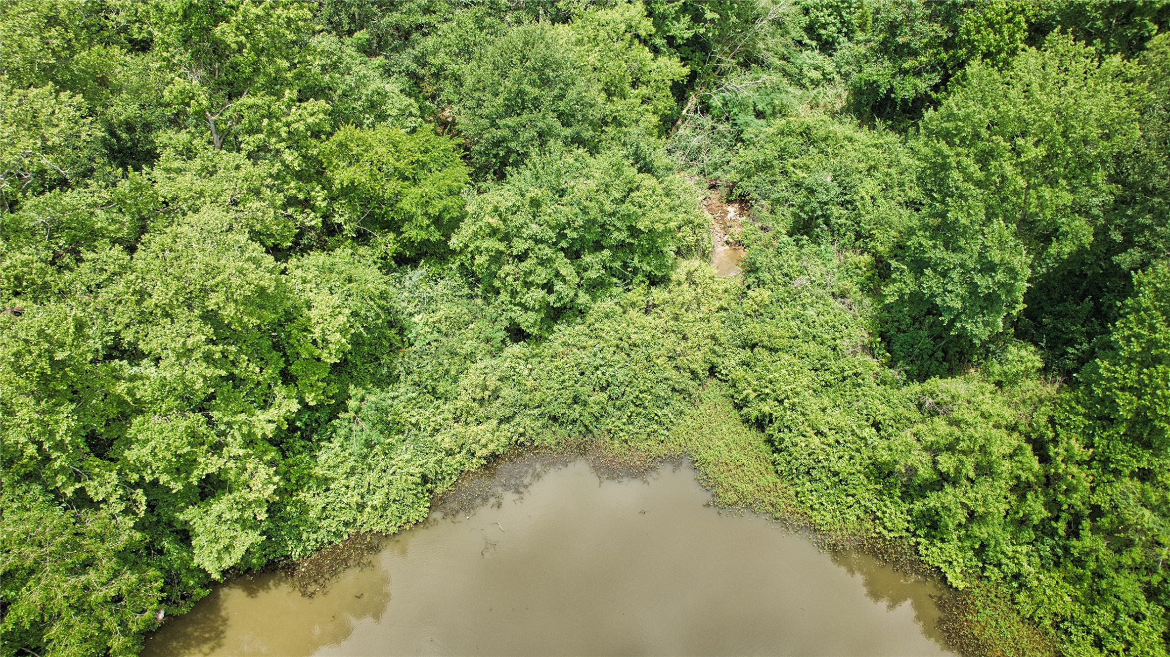 0 Daisy Lane Property Photo 17