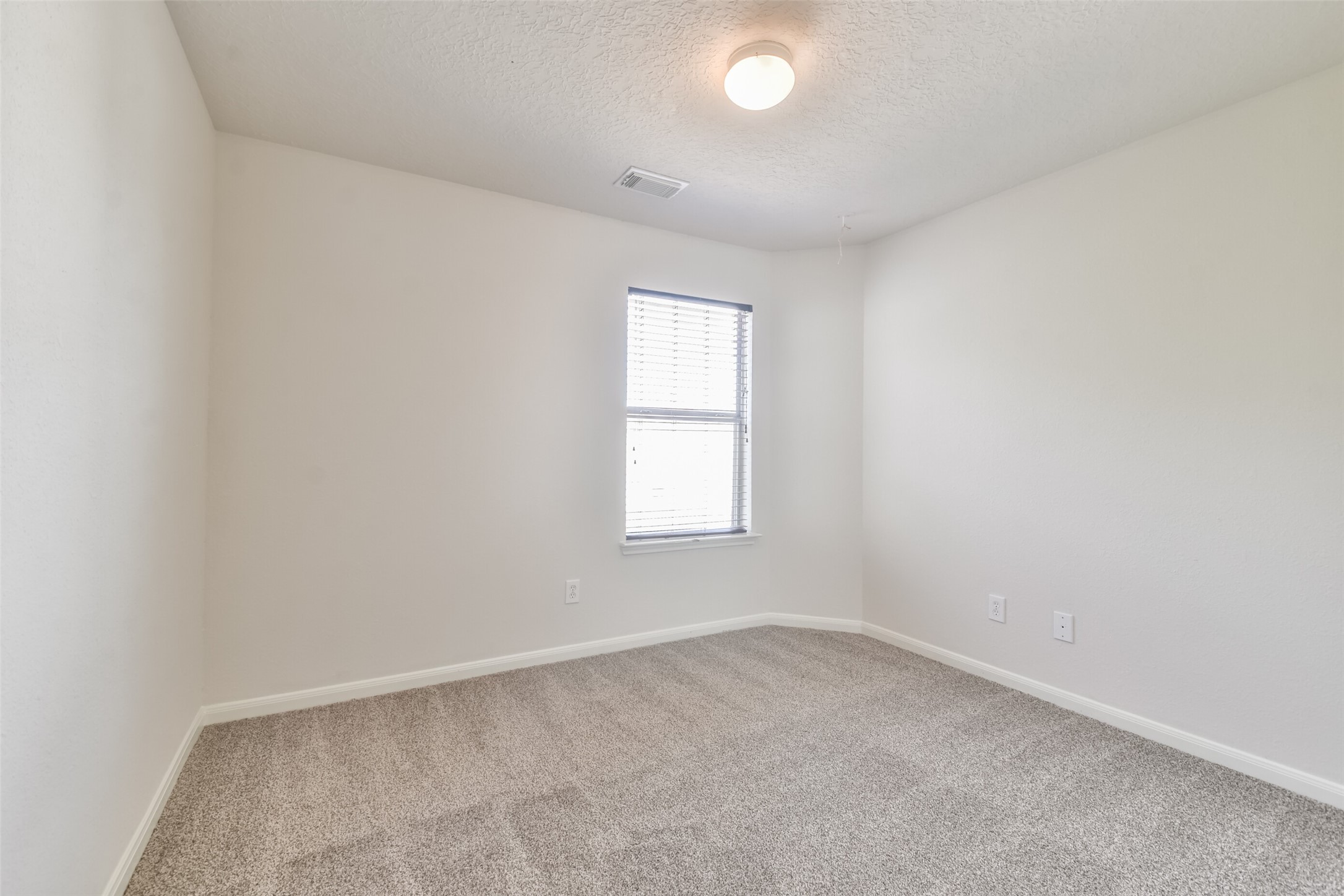 29315 Hickory Terrace Drive Property Photo 35