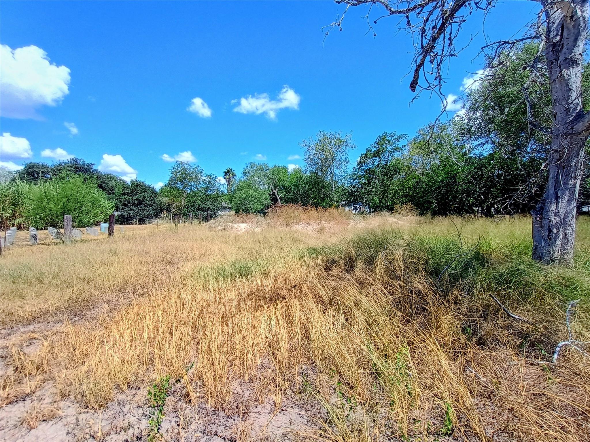 1200-1206 W Crockett Street, Beeville Tx 78102 Property Photo 1