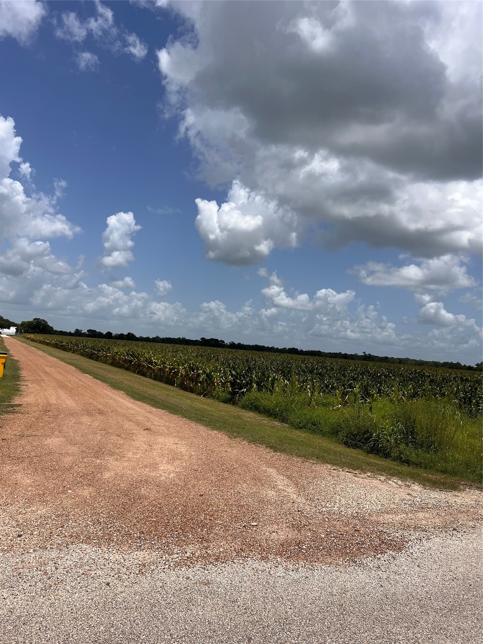 Lot 1 Tract 2 Svoboda Road Property Photo 1