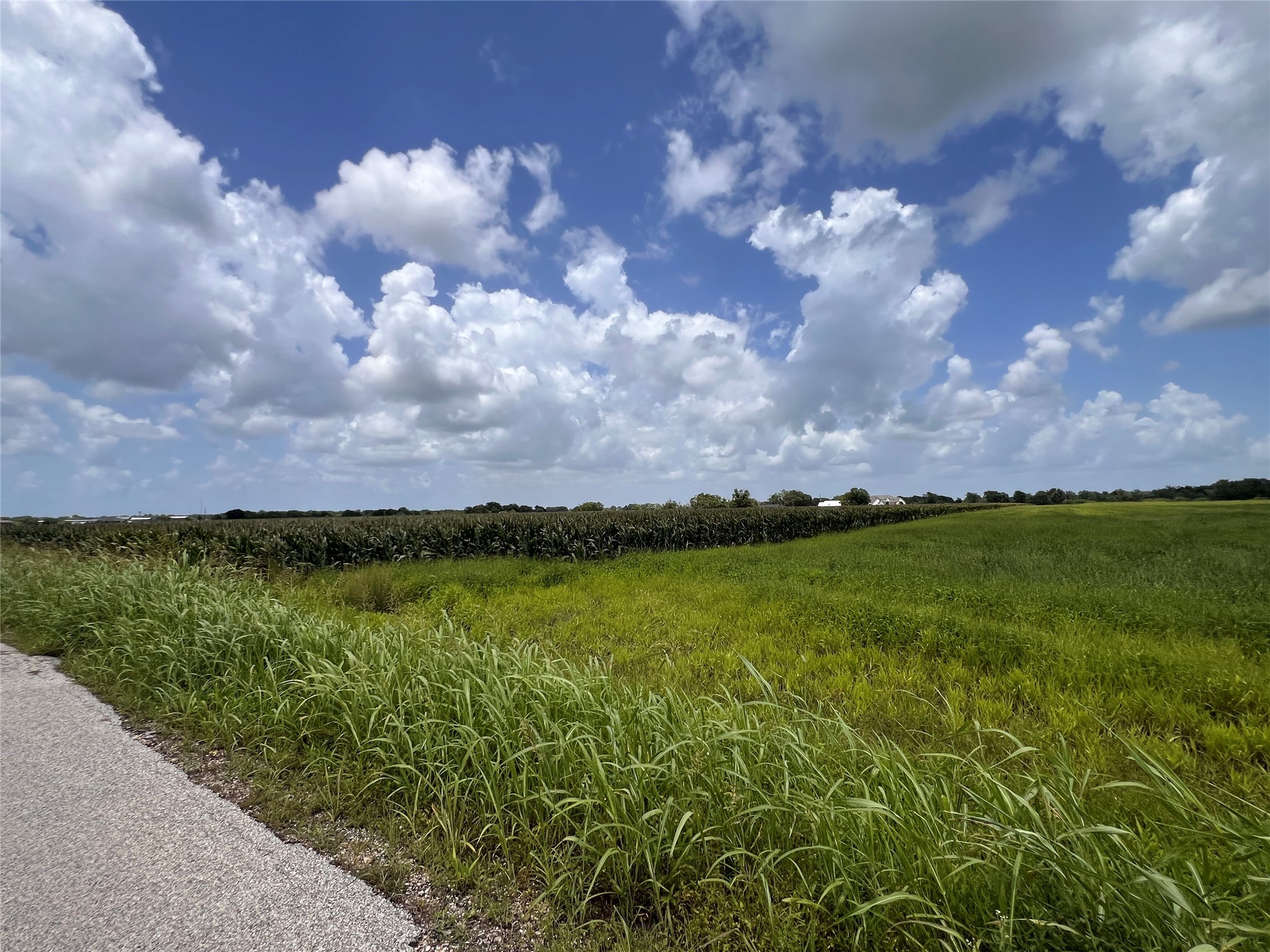 Lot 1 Tract 2 Svoboda Road Property Photo 4