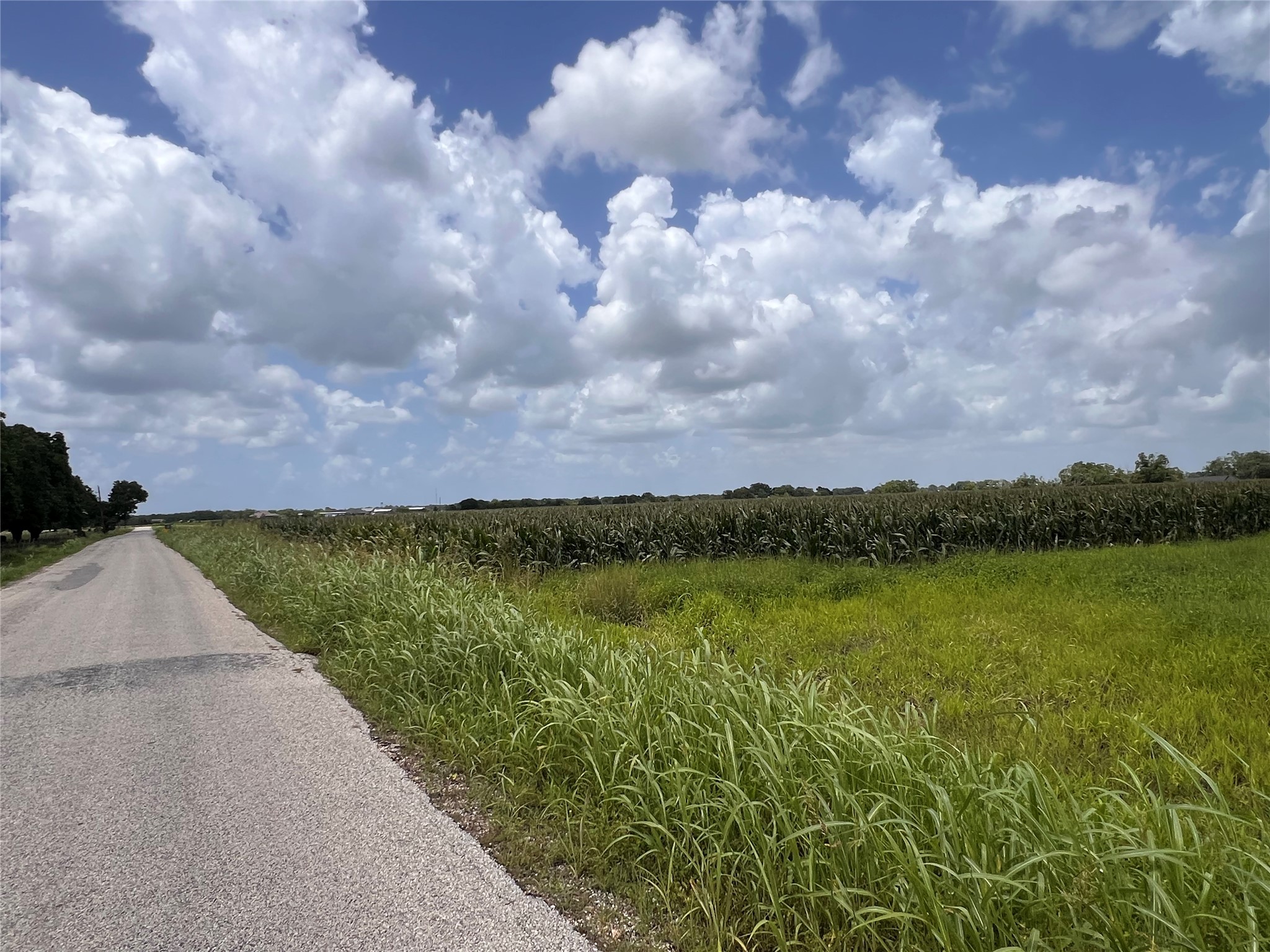 Lot 1 Tract 2 Svoboda Road Property Photo 5