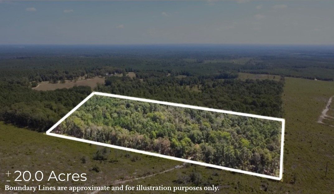 Tbd Mt Sinai Road E Property Photo 1
