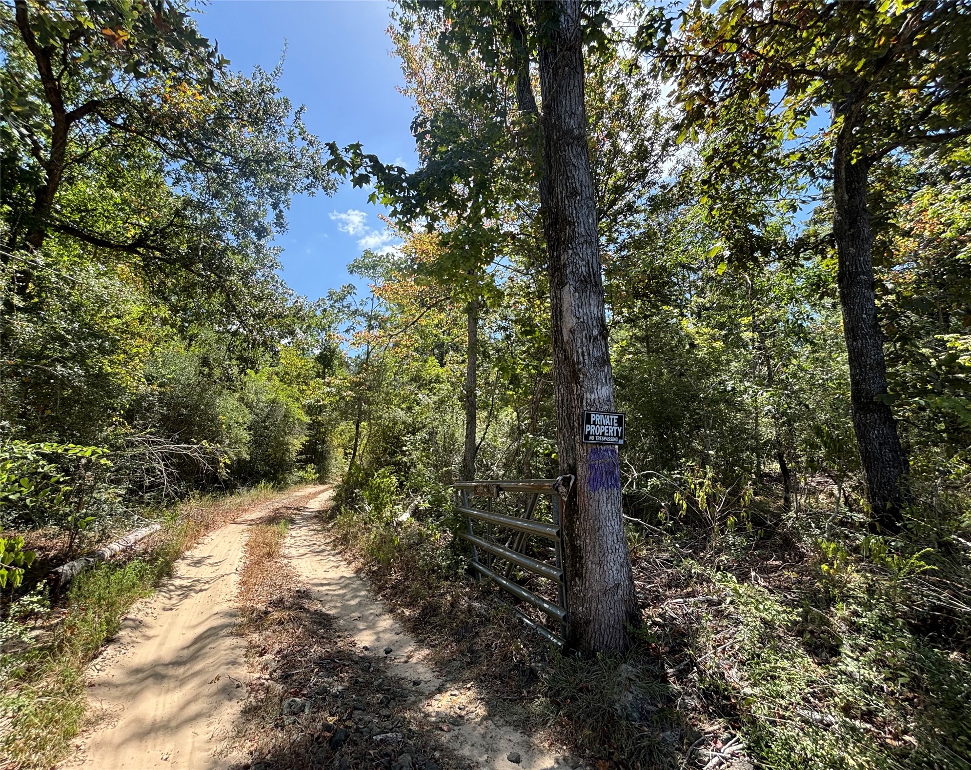 Tbd Mt Sinai Road E Property Photo 2