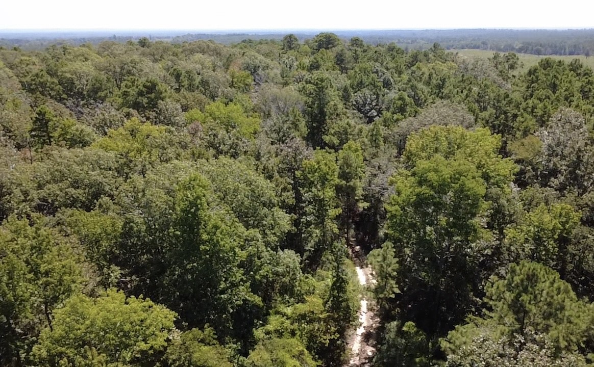 Tbd Mt Sinai Road E Property Photo 5