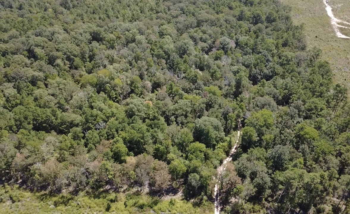 Tbd Mt Sinai Road E Property Photo 6