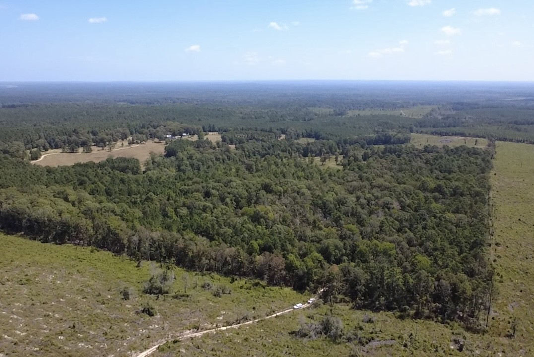 Tbd Mt Sinai Road E Property Photo 8