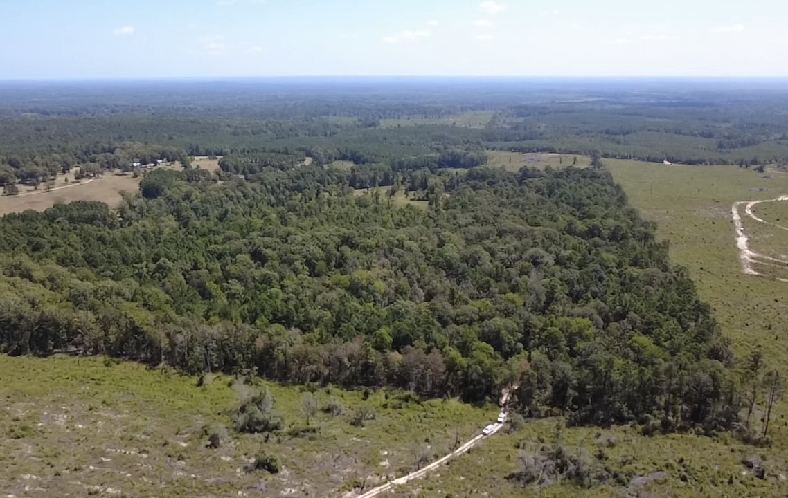 Tbd Mt Sinai Road E Property Photo 9