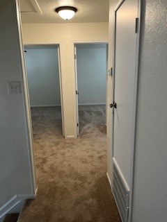 4 N Greenbud Court Property Photo 13