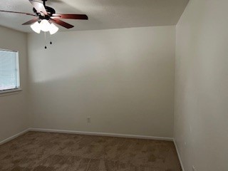 4 N Greenbud Court Property Photo 19